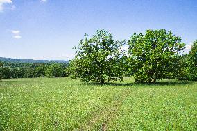 National Nature Reserve Certoryje in the White Carpathians, countryside, landscape, meadows