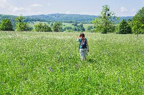 National Nature Reserve Certoryje in the White Carpathians