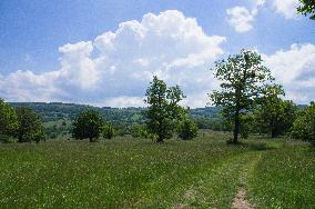 National Nature Reserve Certoryje in the White Carpathians