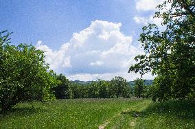 National Nature Reserve Certoryje in the White Carpathians