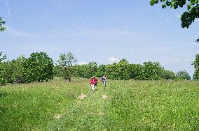 National Nature Reserve Certoryje in the White Carpathians