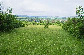 Velka nad Velickou village, orchard