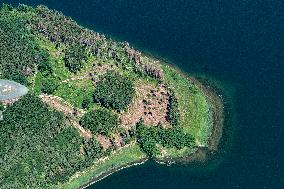 Forest, forests, tree, trees, dead, spruce, river Zelivka, dam Svihov