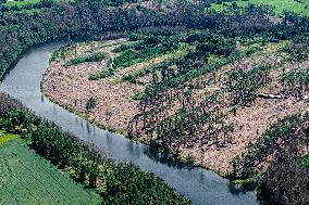 Forest, forests, tree, trees, dead, spruce, river Zelivka