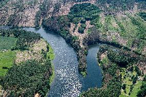 Forest, forests, tree, trees, dead, spruce, river Zelivka