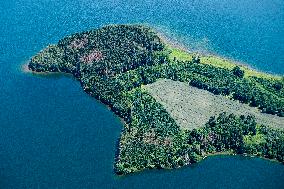 Forest, forests, tree, trees, dead, spruce, river Zelivka, dam Svihov