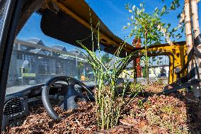 Autopark outdoor exposition