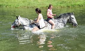 horse swimming, horse women, woman