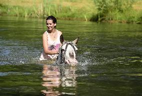 horse swimming, horse women, woman