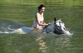 horse swimming, horse women, woman