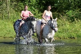 horse swimming, horse women