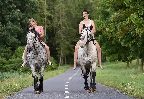 horse swimming, horse women