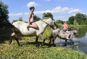 horse swimming, horse women