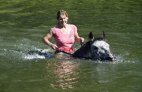 horse swimming, horse women