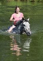 horse swimming, horse women