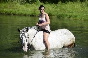horse swimming, horse women
