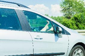 A1 motorway, highway, female legs (leg, feet, foot) on dashboard airbag (dash, instrument panel)