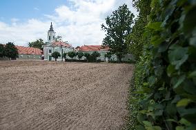 The Kladruby nad Labem national stud, UNESCO