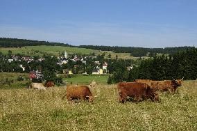 Horni Blatna, Erzgebirge/Krusnohori (Ore Mountain) Mining Region