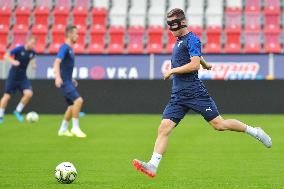 Soccer players of Viktoria Plzen, training session