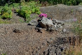 spoil tip (boney pile, gob pile, culm bank), Erzgebirge/Krusnohori (Ore Mountain) Mining Region