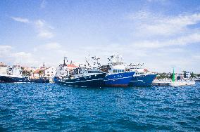 Biograd na Moru, port,  commercial fishing boat