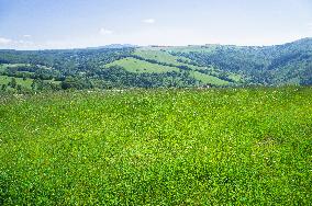 Zitkova Moravian Kopanice countryside, landscape, meadows