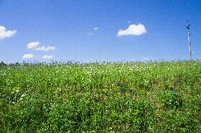 Zitkova Moravian Kopanice countryside, landscape, meadows