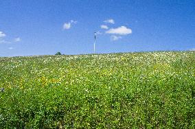 Zitkova Moravian Kopanice countryside, landscape, meadows