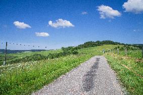 Zitkova Moravian Kopanice countryside, landscape, meadows, road, path, pasture land