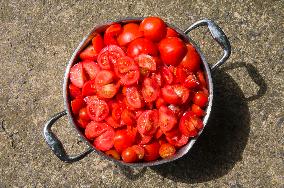 steel cooking pot full of red tomato, cut tomatoes, agriculture, vegetable, no people, freshness, botany, organic, healthy eat