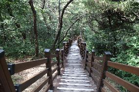 Gwangju, park, priroda