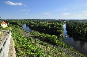 confluence, Labe, Vltava, vineyard, Melnik