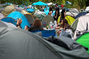 Brutal Assault metal music festival