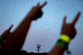 Brutal Assault metal music festival, fans