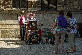 barrel organ player