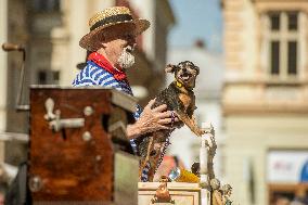 barrel organ player and his dog