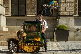 barrel organ player