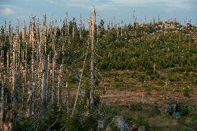 Sumava National Park, Bohemian Forest