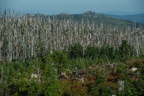 Sumava National Park, Bohemian Forest