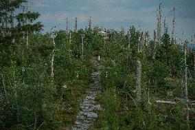 Sumava National Park, Bohemian Forest