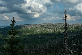 Sumava National Park, Bohemian Forest