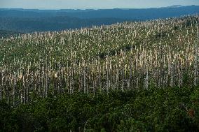 Sumava National Park, Bohemian Forest