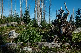 Sumava National Park, Bohemian Forest