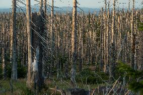 Sumava National Park, Bohemian Forest