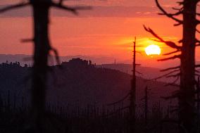 Sumava National Park, Bohemian Forest, Sunset