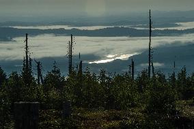 Sumava National Park, Bohemian Forest