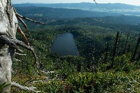 Sumava National Park, Bohemian Forest