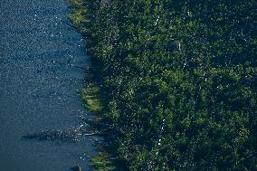 Sumava National Park, Bohemian Forest