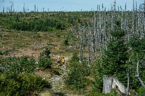 Sumava National Park, Bohemian Forest